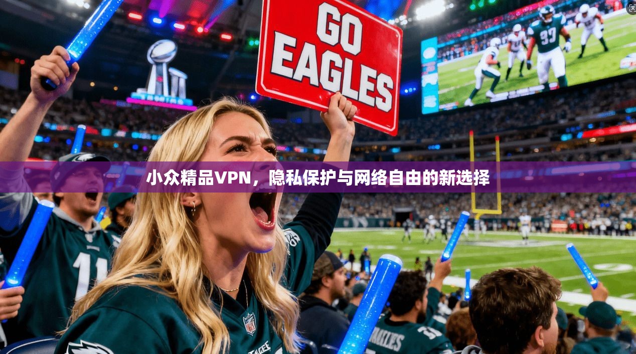 小众精品VPN，隐私保护与网络自由的新选择