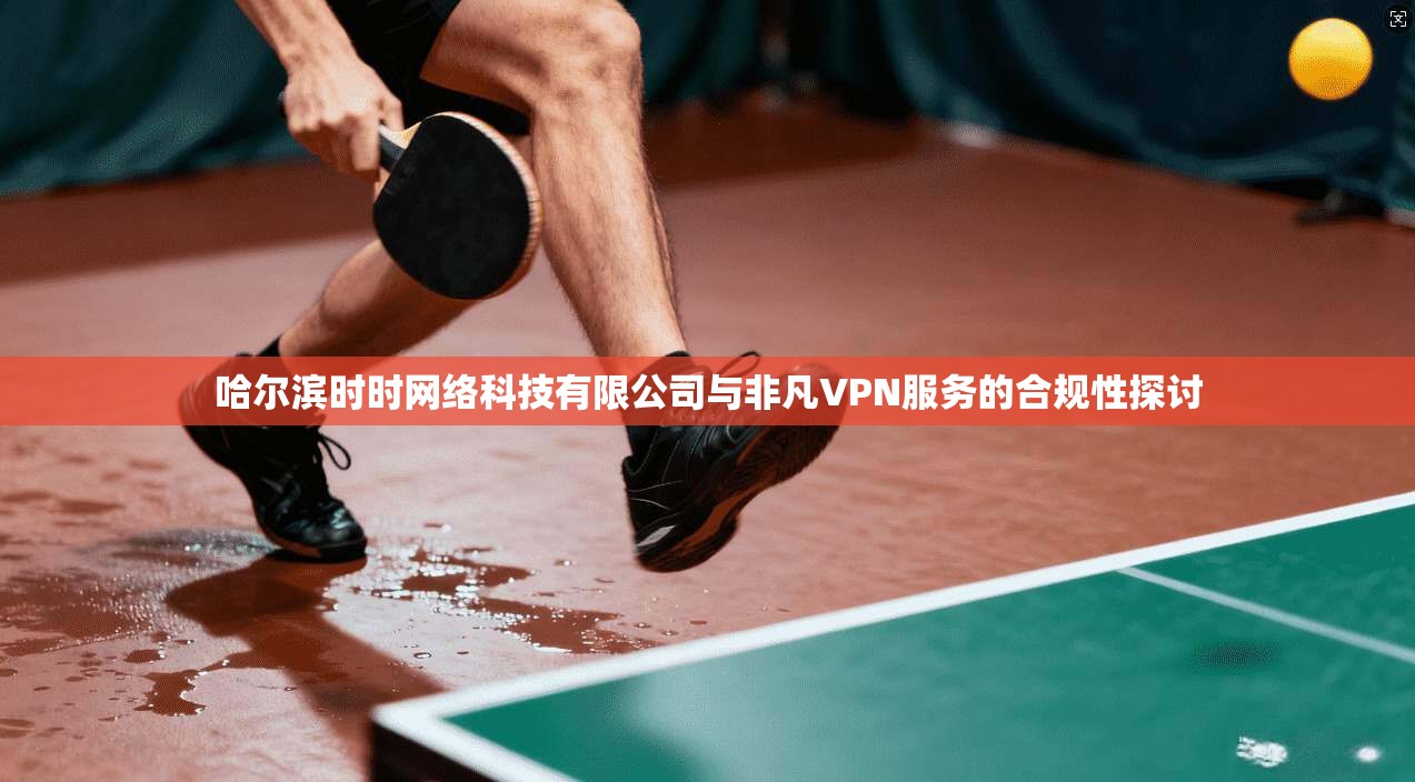 哈尔滨时时网络科技有限公司与非凡VPN服务的合规性探讨