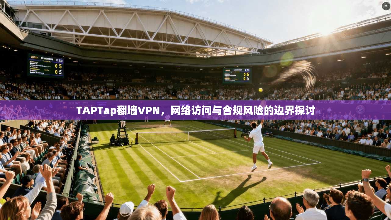TAPTap翻墙VPN，网络访问与合规风险的边界探讨