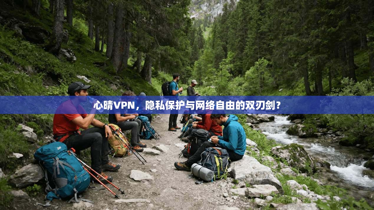 心晴VPN，隐私保护与网络自由的双刃剑？