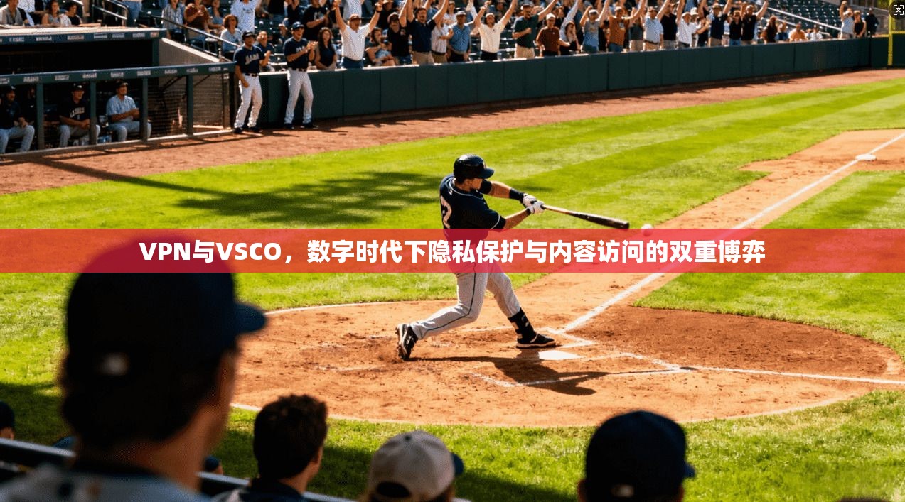 VPN与VSCO，数字时代下隐私保护与内容访问的双重博弈