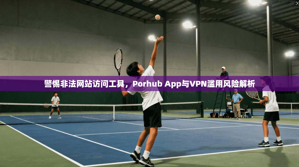 警惕非法网站访问工具，Porhub App与VPN滥用风险解析