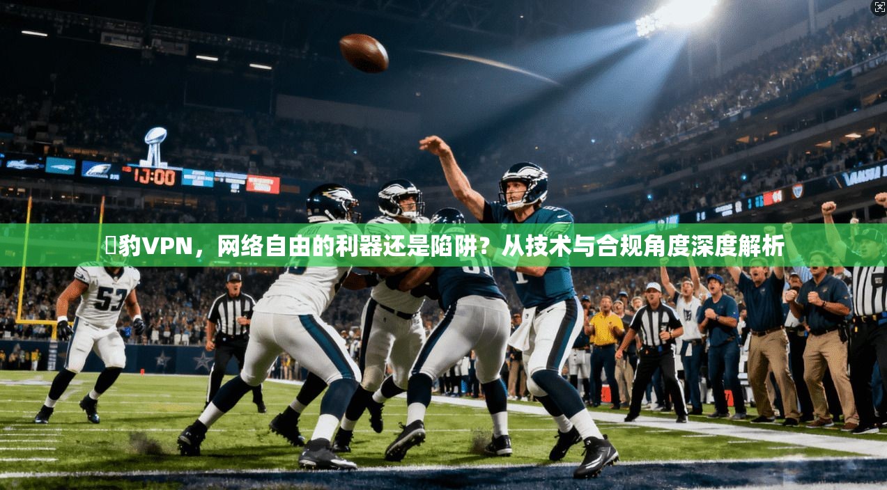黒豹VPN，网络自由的利器还是陷阱？从技术与合规角度深度解析