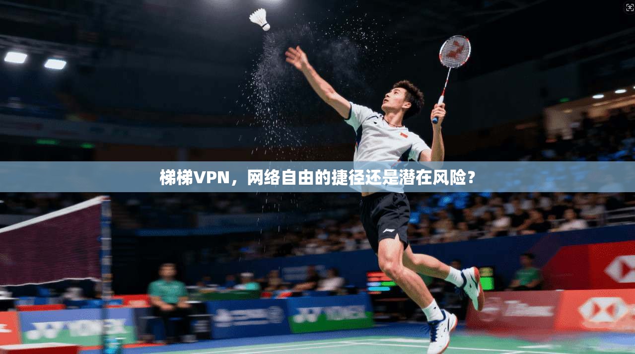 梯梯VPN，网络自由的捷径还是潜在风险？