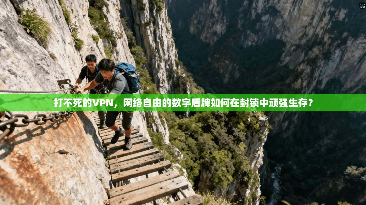 打不死的VPN，网络自由的数字盾牌如何在封锁中顽强生存？