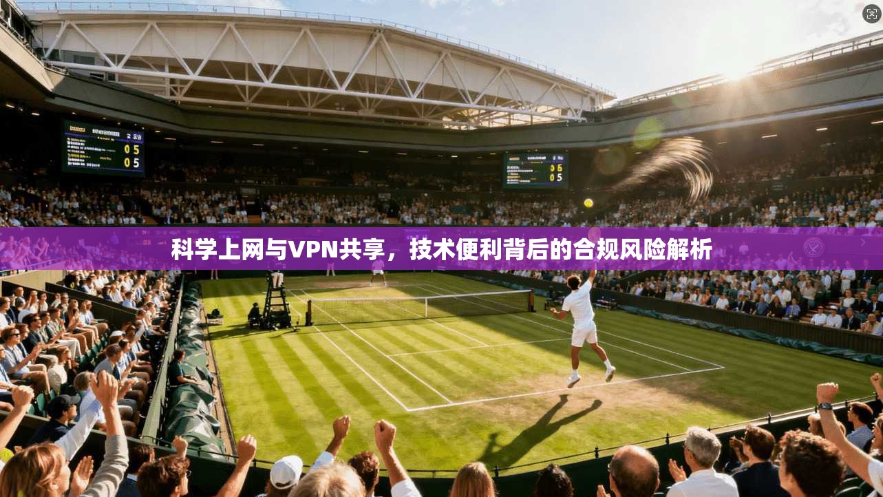 科学上网与VPN共享，技术便利背后的合规风险解析