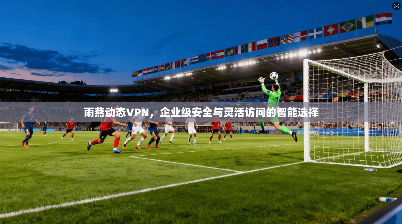 雨燕动态VPN，企业级安全与灵活访问的智能选择