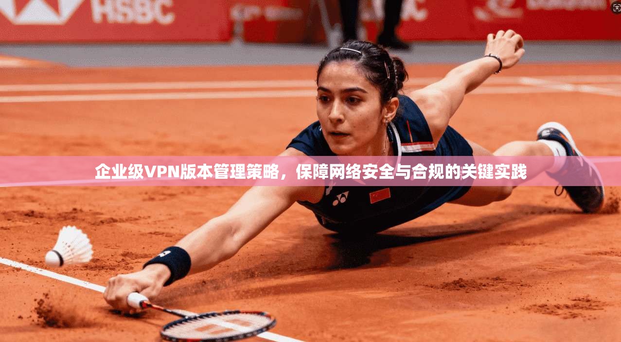 企业级VPN版本管理策略，保障网络安全与合规的关键实践
