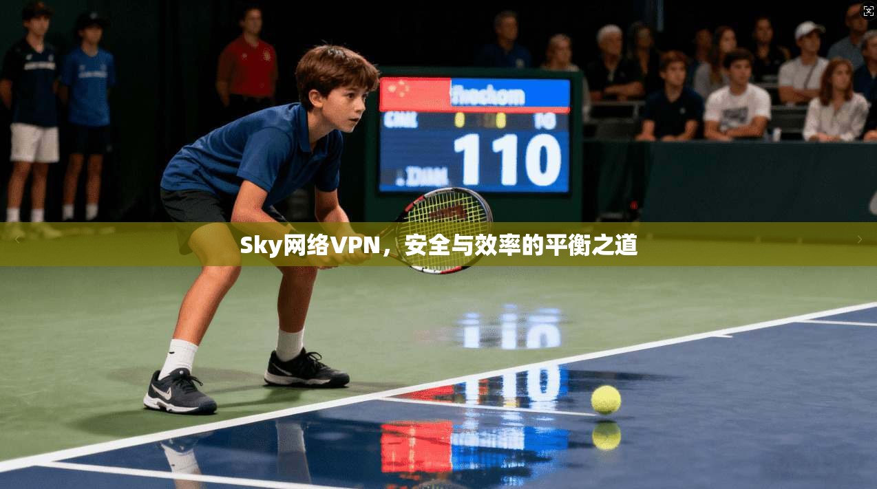 Sky网络VPN，安全与效率的平衡之道