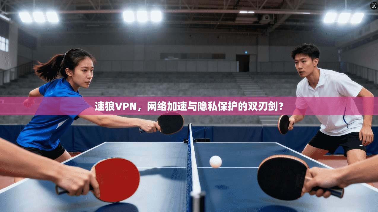速狼VPN，网络加速与隐私保护的双刃剑？