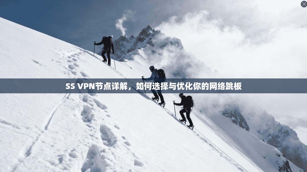 SS VPN节点详解，如何选择与优化你的网络跳板