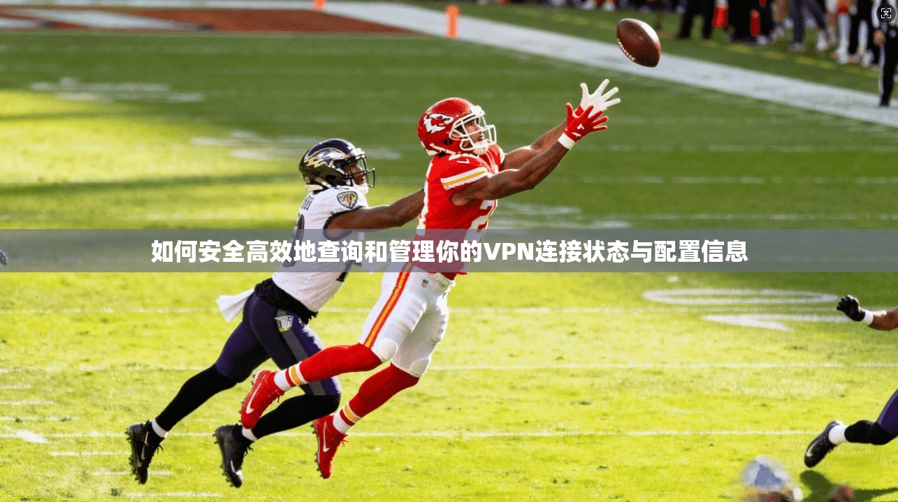 如何安全高效地查询和管理你的VPN连接状态与配置信息