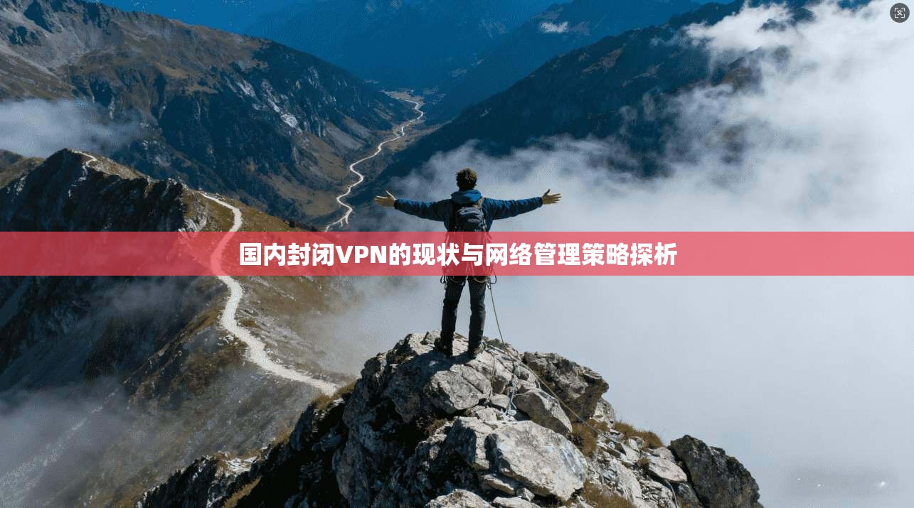 国内封闭VPN的现状与网络管理策略探析