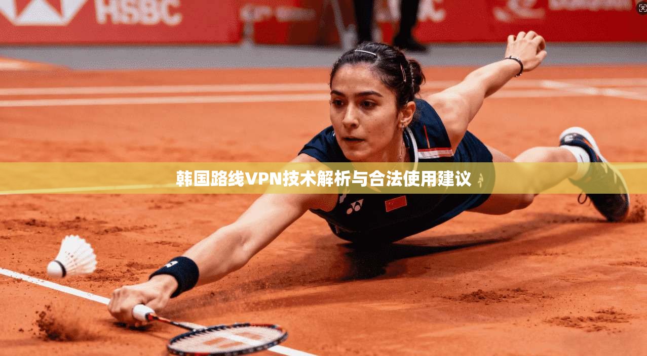 韩国路线VPN技术解析与合法使用建议