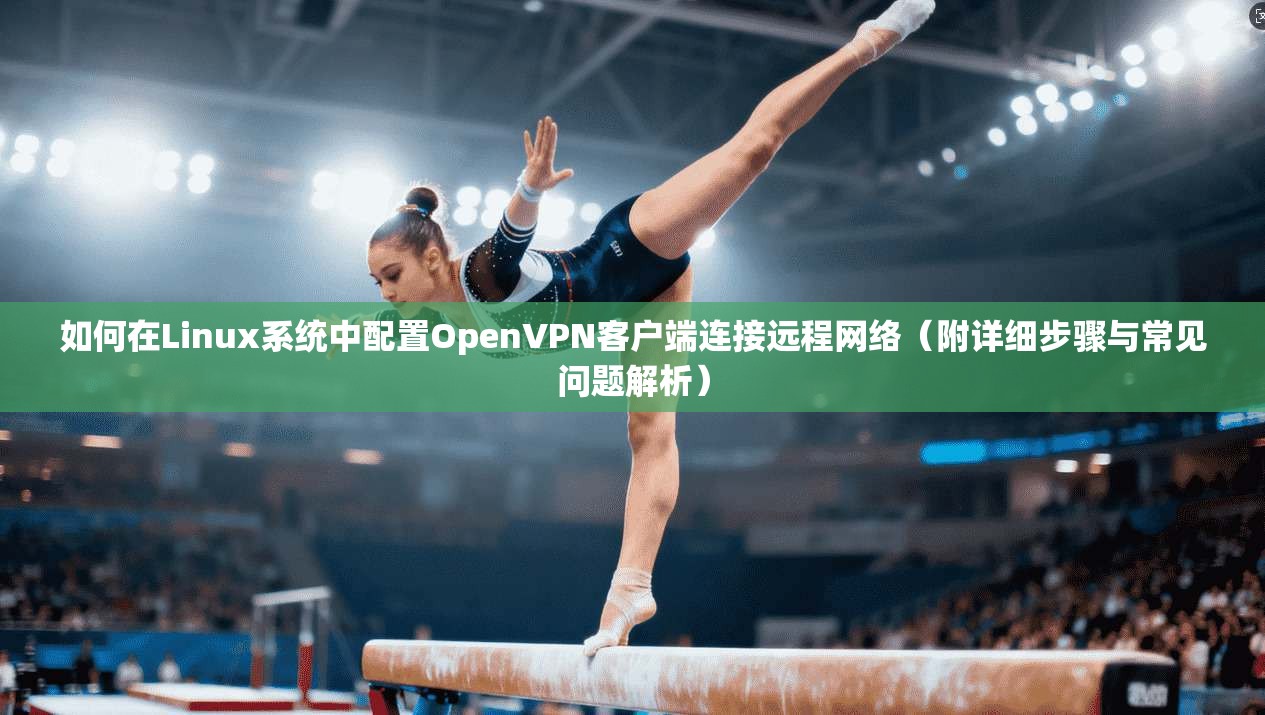 如何在Linux系统中配置OpenVPN客户端连接远程网络（附详细步骤与常见问题解析）