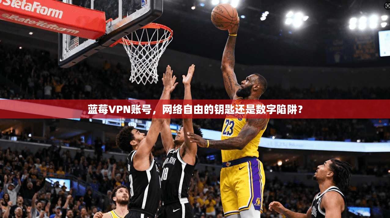 蓝莓VPN账号，网络自由的钥匙还是数字陷阱？