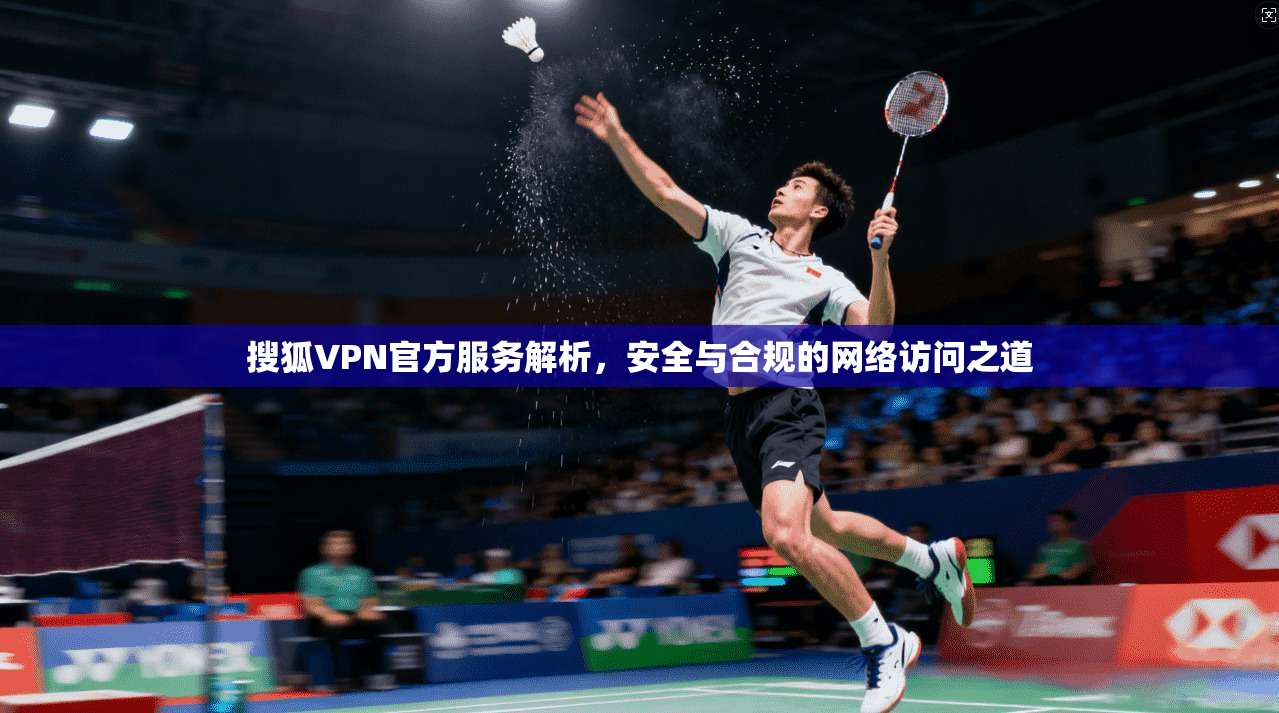 搜狐VPN官方服务解析，安全与合规的网络访问之道
