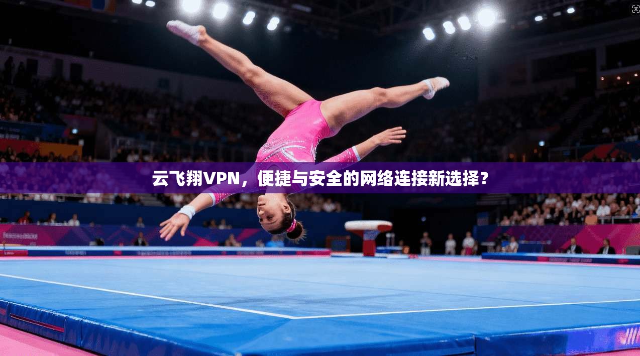云飞翔VPN，便捷与安全的网络连接新选择？