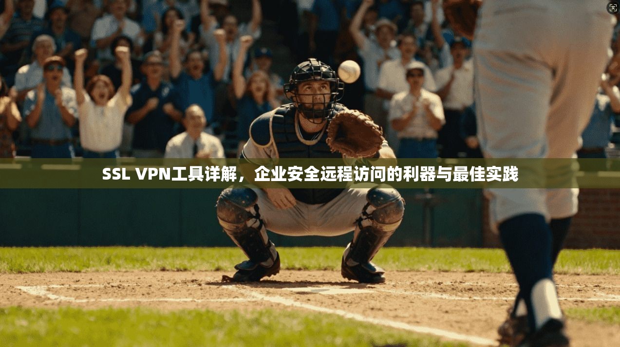 SSL VPN工具详解，企业安全远程访问的利器与最佳实践