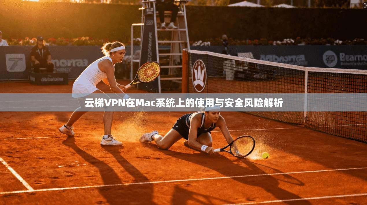 云梯VPN在Mac系统上的使用与安全风险解析
