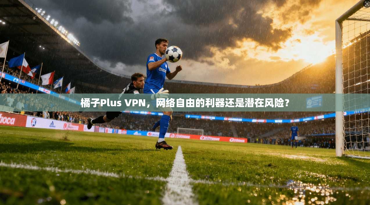 橘子Plus VPN，网络自由的利器还是潜在风险？