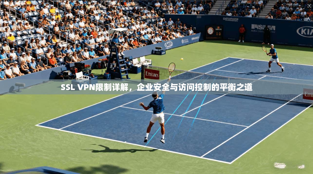 SSL VPN限制详解，企业安全与访问控制的平衡之道