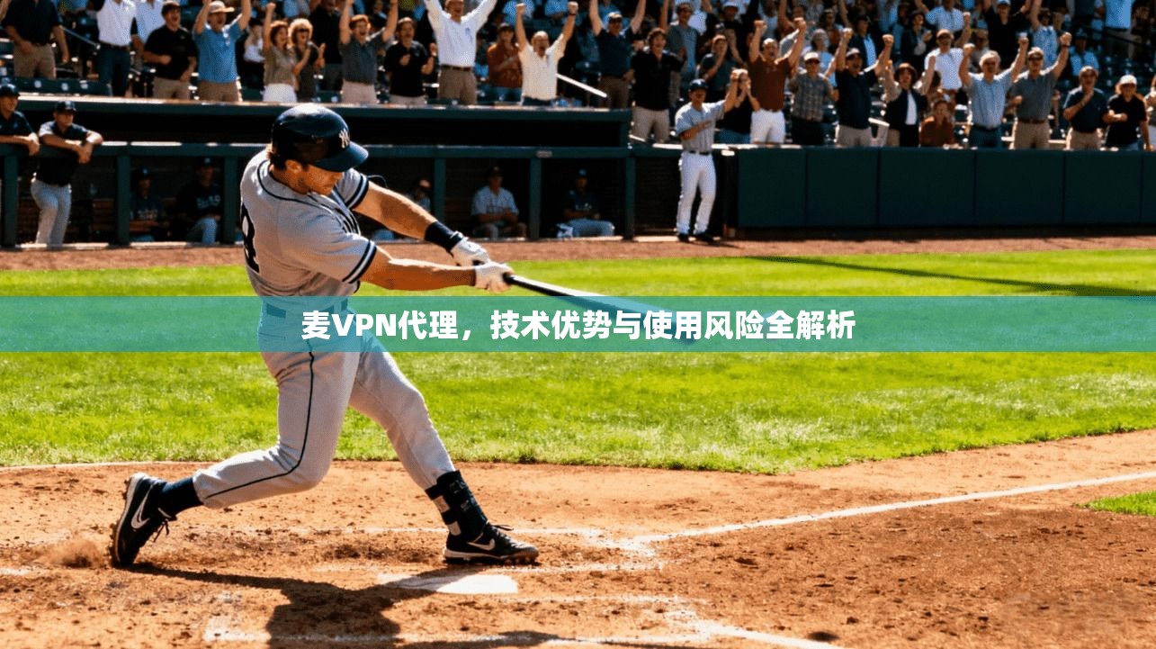 麦VPN代理，技术优势与使用风险全解析