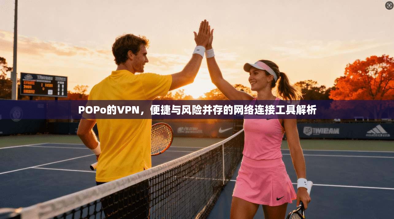POPo的VPN，便捷与风险并存的网络连接工具解析