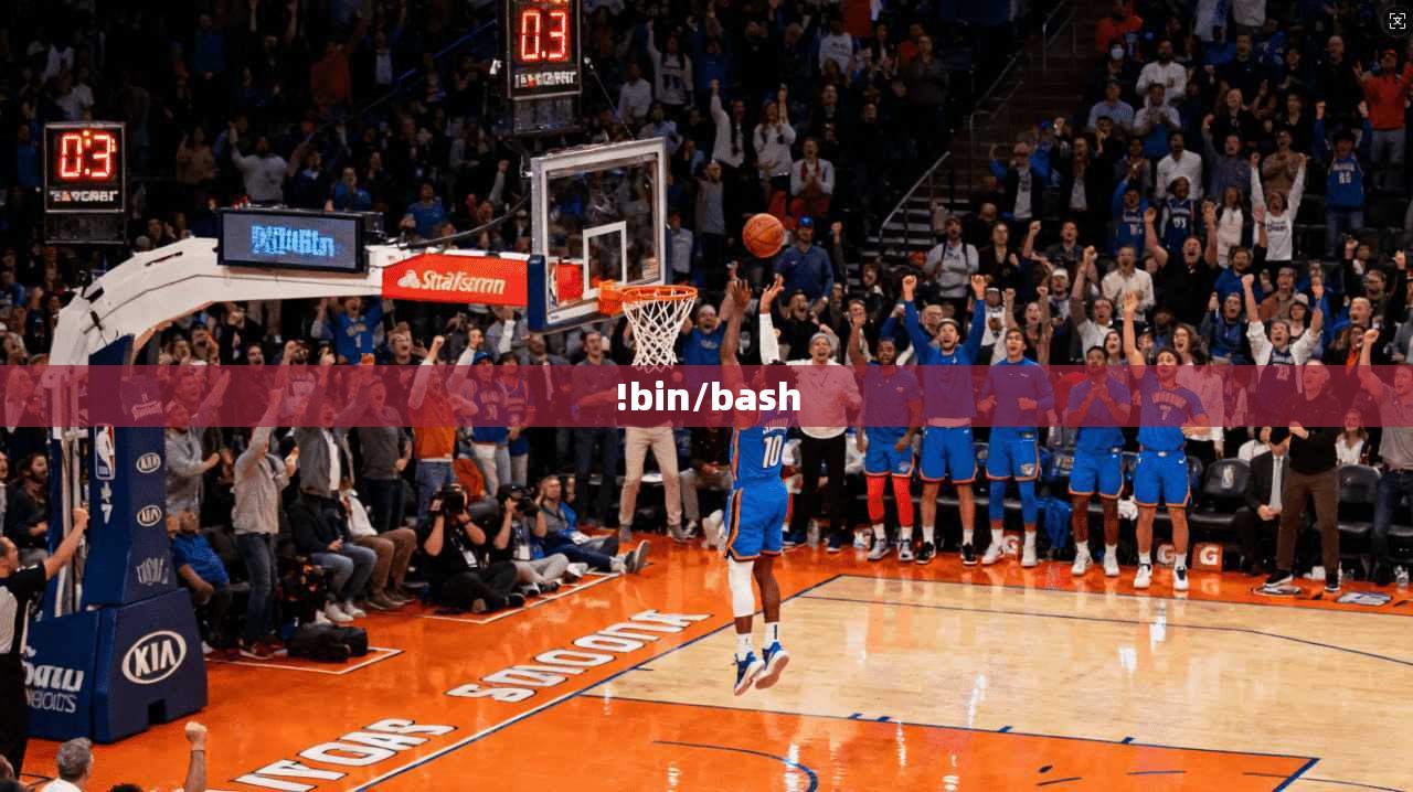 !bin/bash