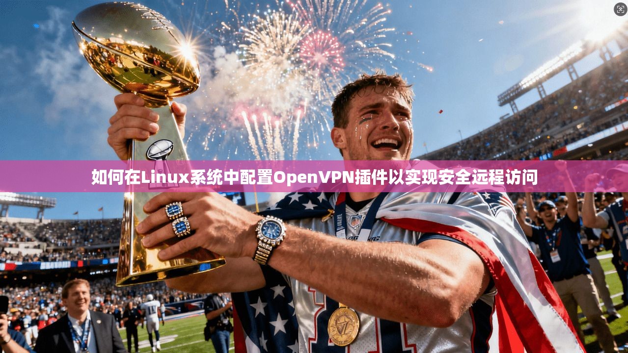 如何在Linux系统中配置OpenVPN插件以实现安全远程访问
