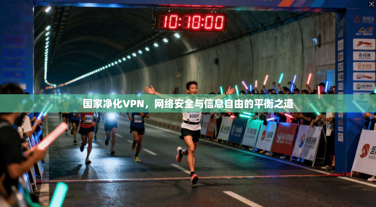 国家净化VPN，网络安全与信息自由的平衡之道
