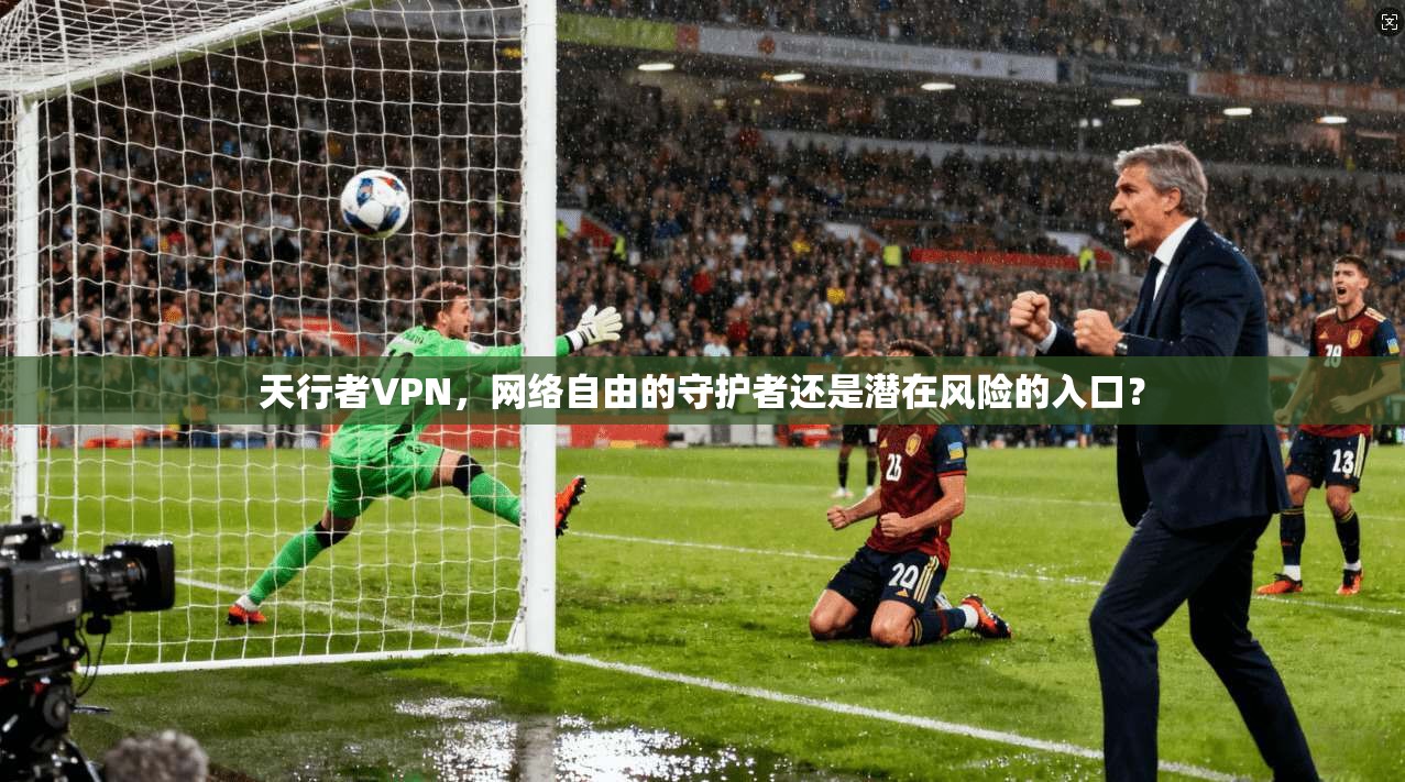 天行者VPN，网络自由的守护者还是潜在风险的入口？
