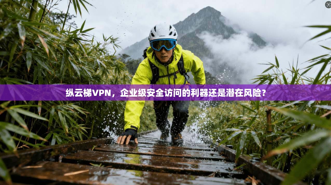 纵云梯VPN，企业级安全访问的利器还是潜在风险？