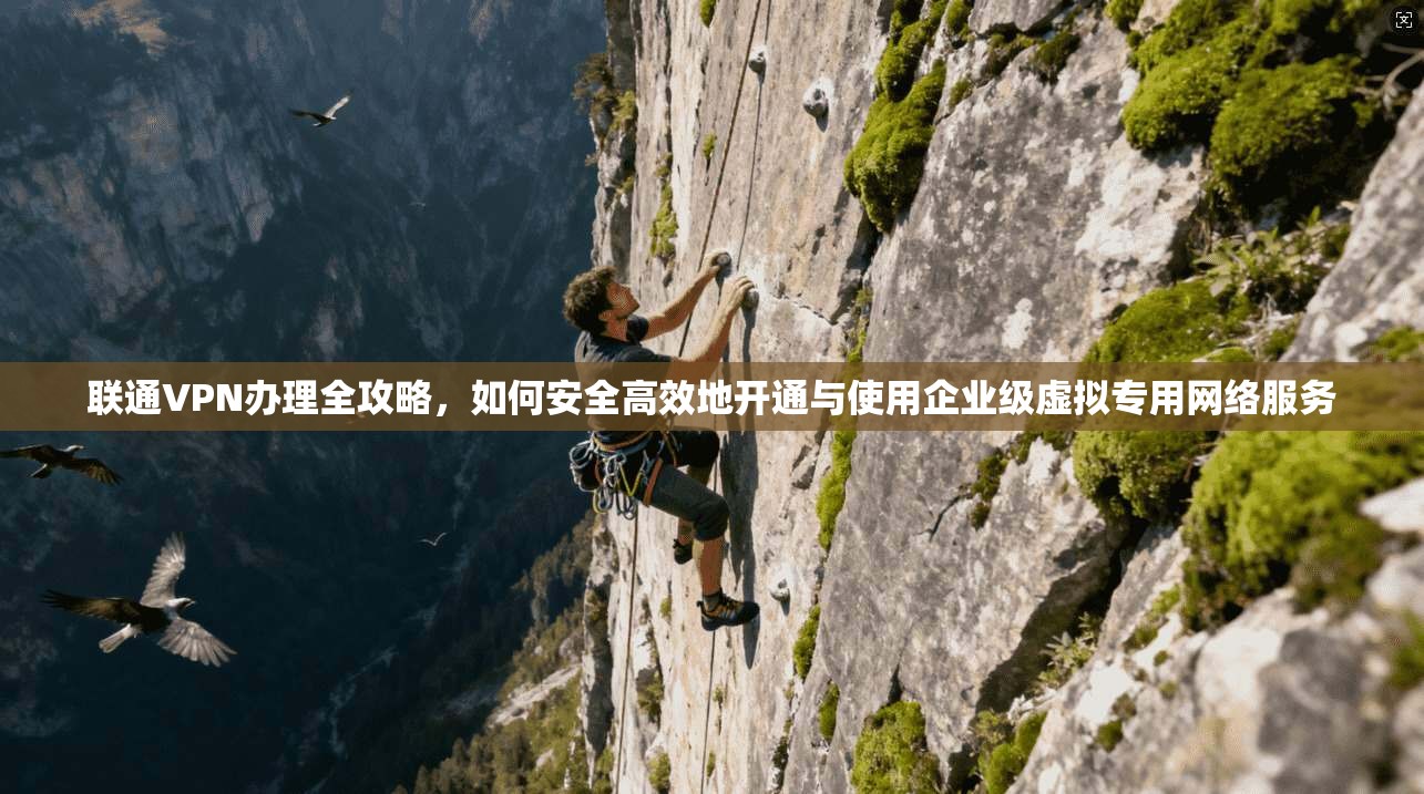 联通VPN办理全攻略，如何安全高效地开通与使用企业级虚拟专用网络服务
