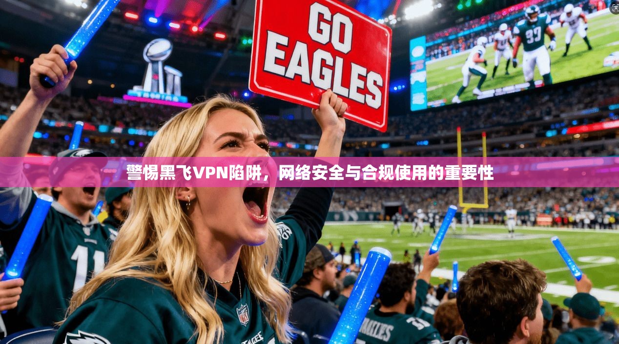 警惕黑飞VPN陷阱，网络安全与合规使用的重要性