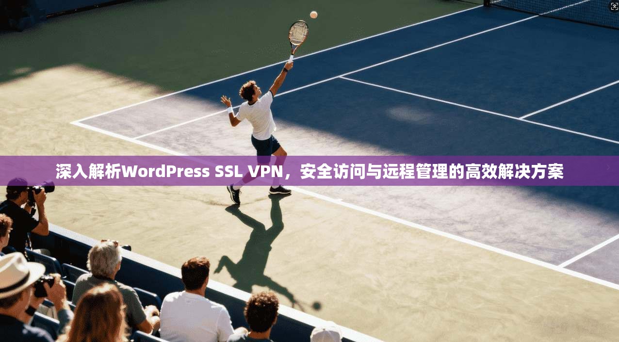 深入解析WordPress SSL VPN，安全访问与远程管理的高效解决方案