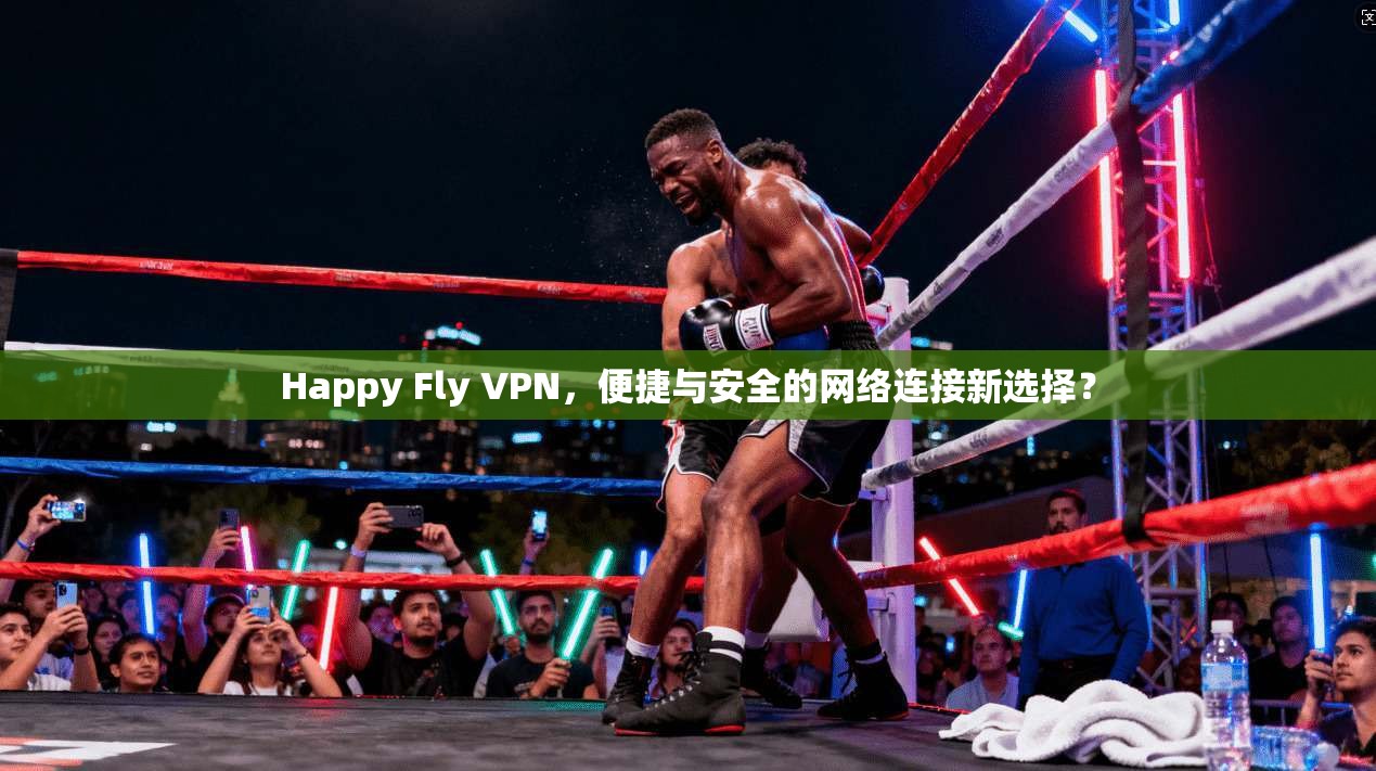 Happy Fly VPN，便捷与安全的网络连接新选择？