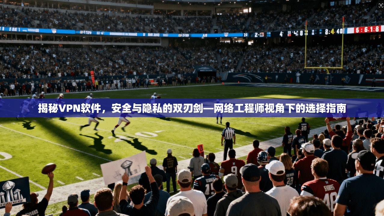 揭秘VPN软件，安全与隐私的双刃剑—网络工程师视角下的选择指南