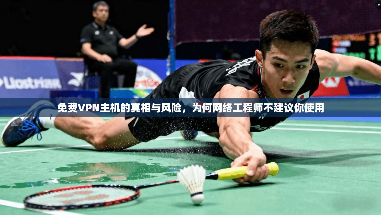 免费VPN主机的真相与风险，为何网络工程师不建议你使用