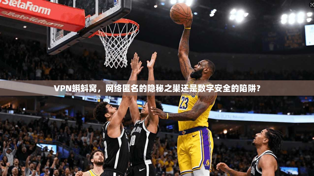 VPN蝌蚪窝，网络匿名的隐秘之巢还是数字安全的陷阱？