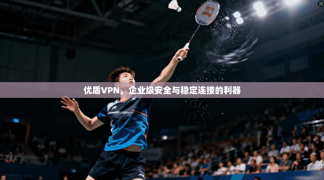 优盾VPN，企业级安全与稳定连接的利器