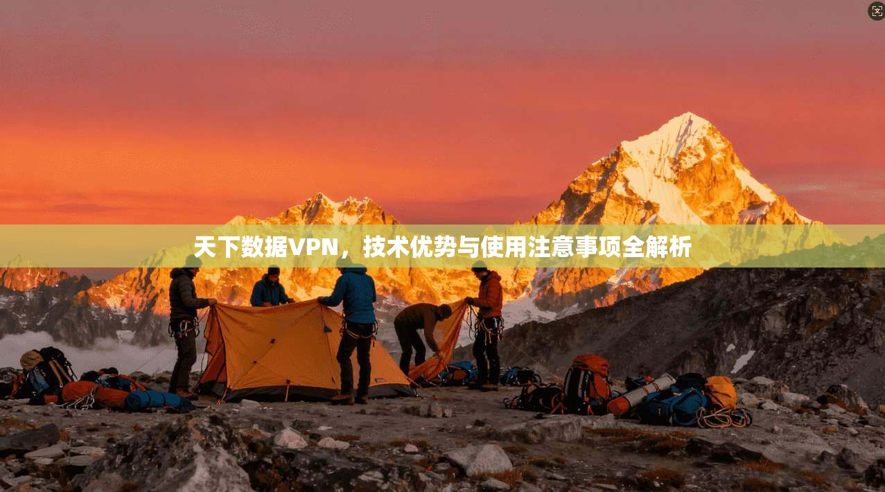 天下数据VPN，技术优势与使用注意事项全解析
