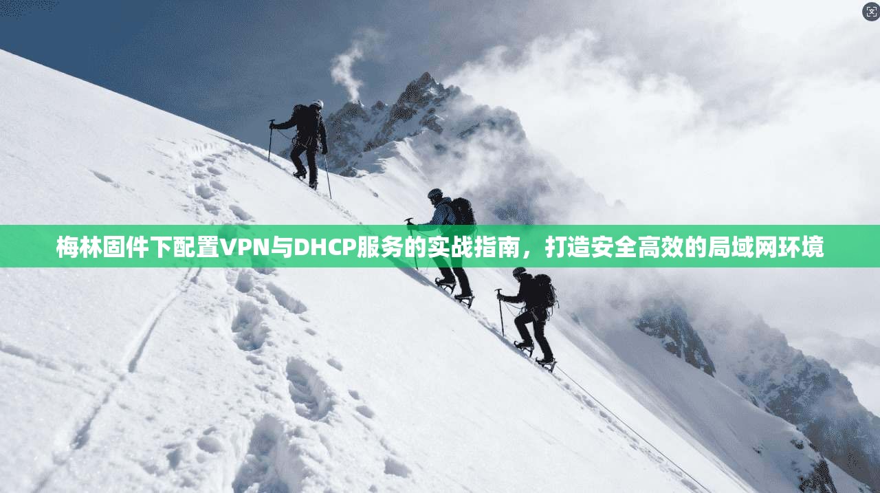 梅林固件下配置VPN与DHCP服务的实战指南，打造安全高效的局域网环境