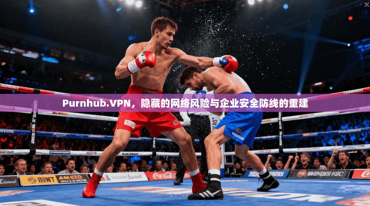 Purnhub.VPN，隐藏的网络风险与企业安全防线的重建