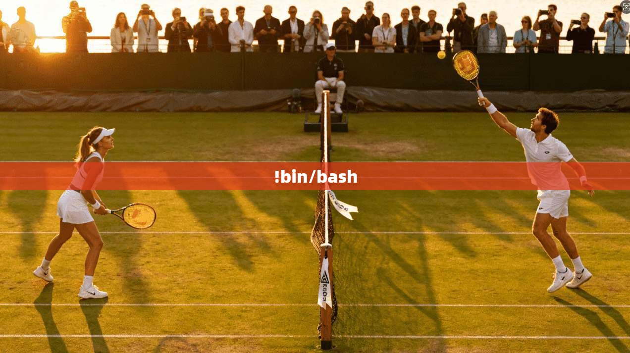 !bin/bash