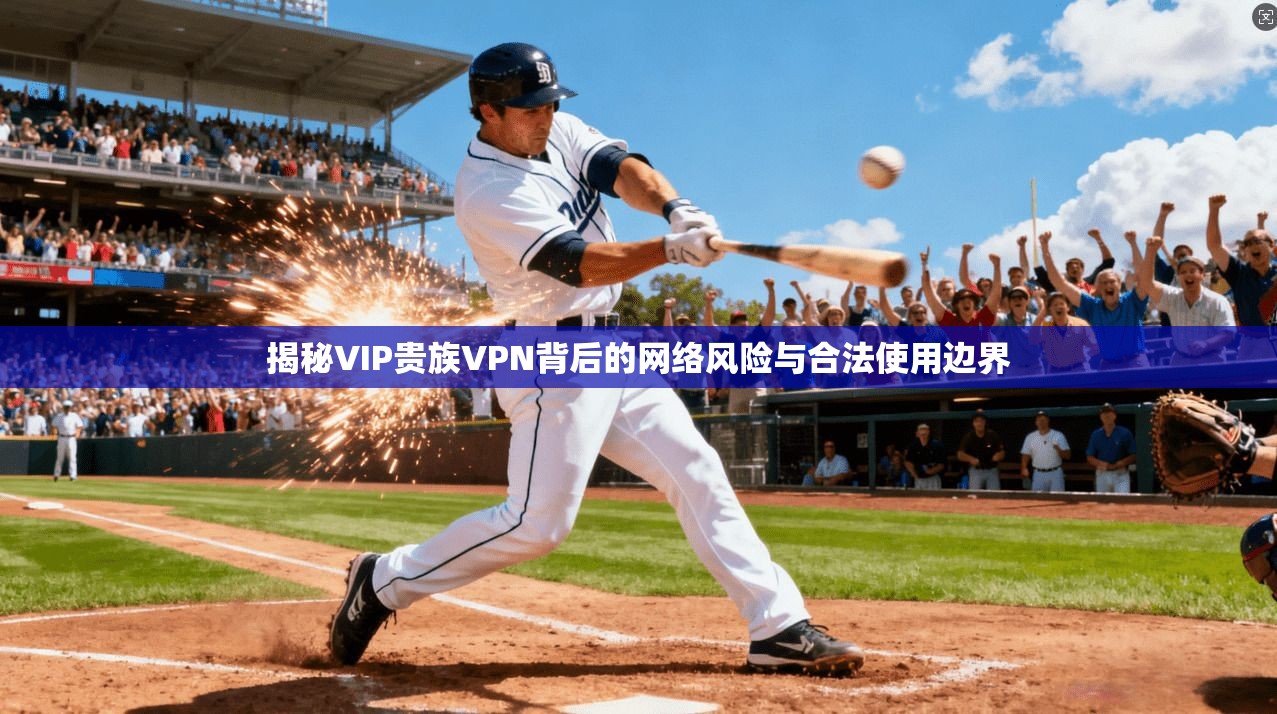 揭秘VIP贵族VPN背后的网络风险与合法使用边界