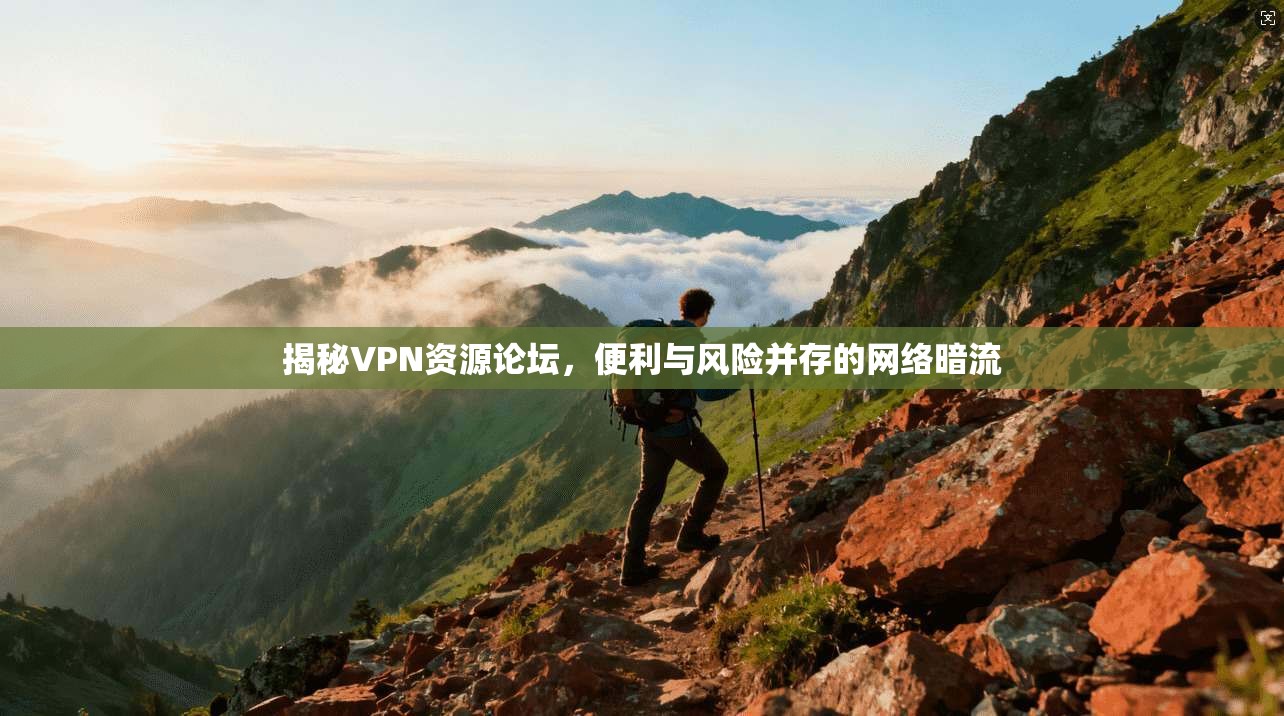 揭秘VPN资源论坛，便利与风险并存的网络暗流