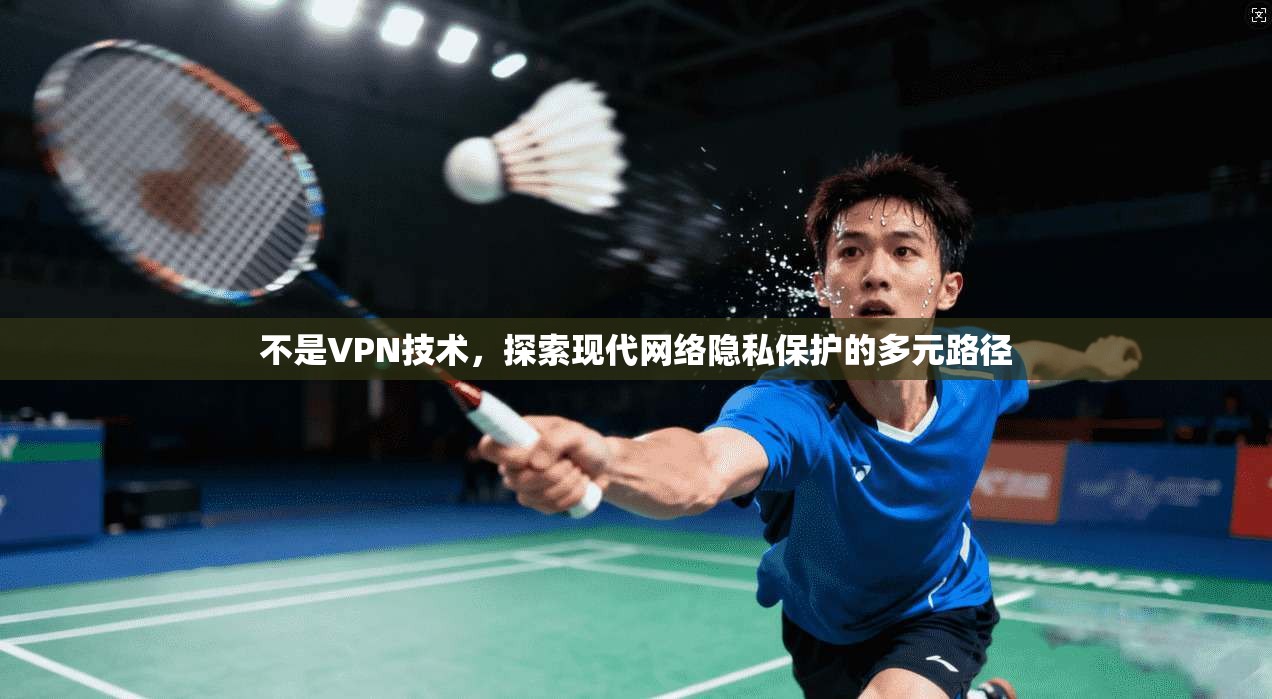 不是VPN技术，探索现代网络隐私保护的多元路径