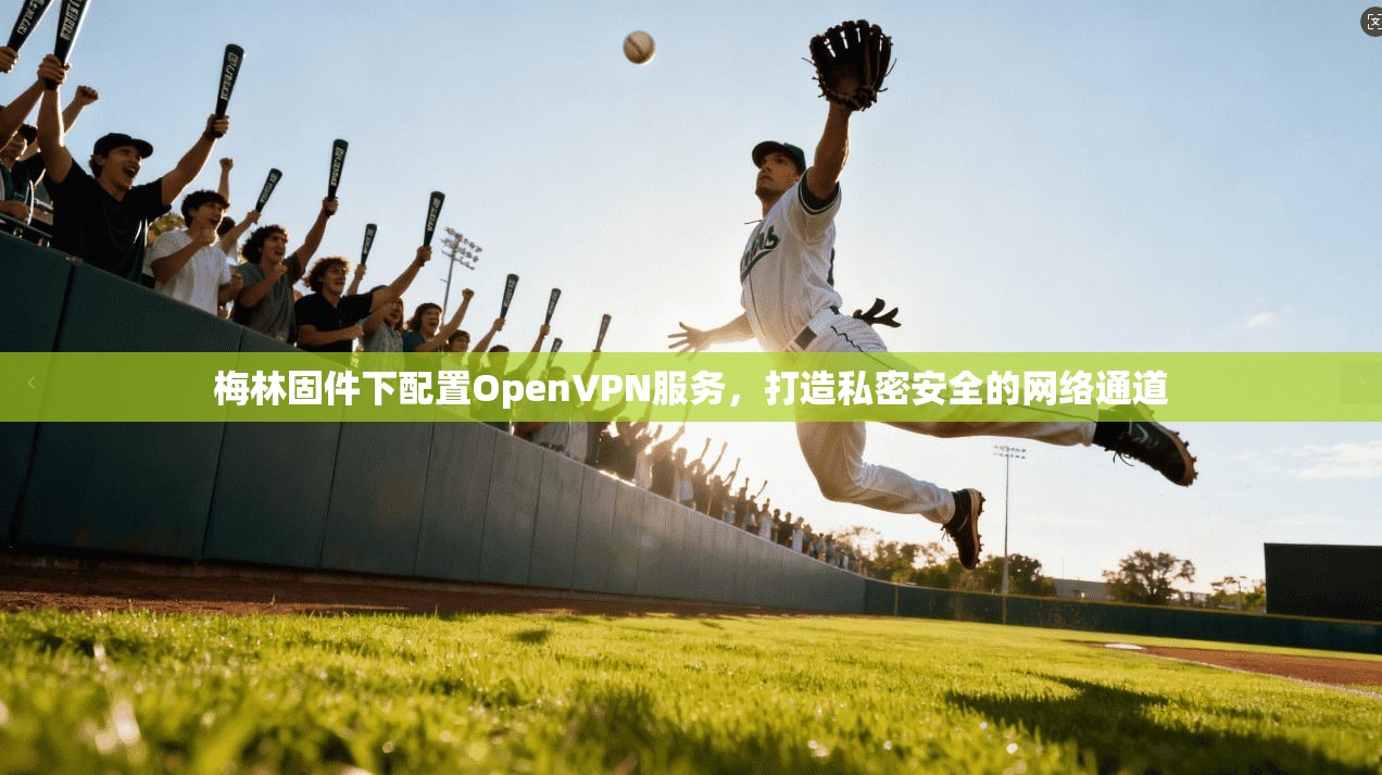 梅林固件下配置OpenVPN服务，打造私密安全的网络通道