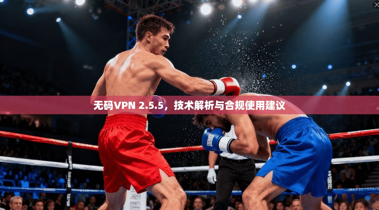 无码VPN 2.5.5，技术解析与合规使用建议